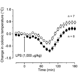 Figure from: Romanovsky AA et al. Am J Physiol 273: R407, 1997