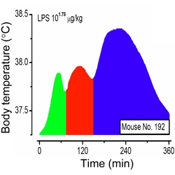 Figure from: Rudaya AY et al. Am J Physiol 289: R1244, 2005 (modified)