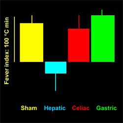 Figure from: Simons CT et al. Am J Physiol 275: R63, 1998 (modified)