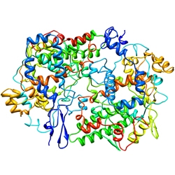 Image from wikipedia.org, posted  by user “Cytochrome c”