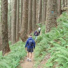 Photo of Kazuhiro Nakamura, Shaun F. Morrison, and Andrej A. Romanovsky on a hike