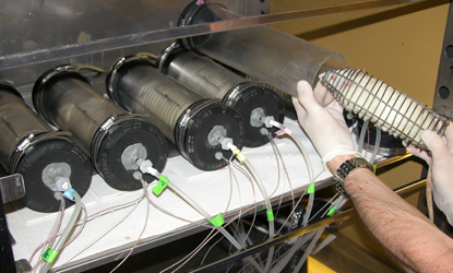 Photo of the respirometry setup